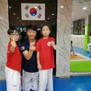 용인대현대태권도 이미지