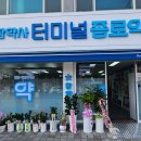 터미널종로약국 네이버블로그