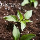 현대청정푸드