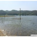 어우실낚시터 | [출조후기] [배스] 2015. 5. 10 어우실낚시터