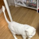 제로백PC 안산한대앞역점 이미지