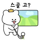 메가골프스크린 이미지