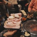 제주탐몽 이미지