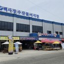 백사장 | 안면도 백사장항 맛집 단체 방문 백사장수산물어시장 점심 세트 메뉴 내돈내산 후기