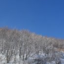 평창이야기 이미지