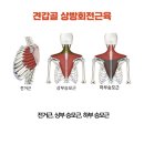 다나필라테스 이미지