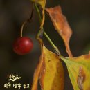강수호