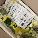 화초구농장 | 2024년 양천구청 상자텃밭 분양신청 및 선정 후기