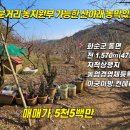 화순토지공인중개사사무소 이미지