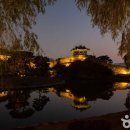 경기도 수원시 팔달구 수원천로392번길 이미지