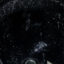 유승카센타 이미지