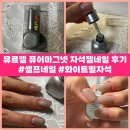 뮤르뮤르젤 퓨어마그넷 자석젤네일 내돈내산