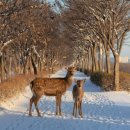 미사태양부동산공인중개사사무소 이미지