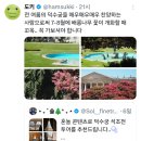문해교육(예비중학반2) | 언제 봄이 왔는지 내 맘도 모르고- 3월 정산