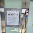 영머리터