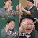 김신영 카카오 검색결과