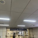 프로젝트엠신세계제주 | 고터 조화꽃시장 셀프부케 구매 & 만들기 후기 (현대데코, 엠데코, 포도나무, 신세계플라워, 플레롱 등)