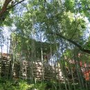 곡성-175 이미지