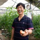 본초밥상 이미지