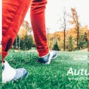 (주)씨드코퍼레이션 이미지