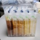 이희철농장 | 쿠팡 명절선물 벌꿀선물세트 100% 국내산 아카시아꿀 야생화꿀 벌꿀화분 후기 꿀단지 벌꿀농장