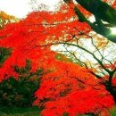 광주스마일행정사사무소 이미지