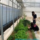 재수 농장 이미지