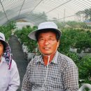 복덕농장 이미지