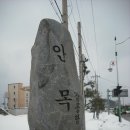 [구링구링맛탐방12호점] 강릉 안목항 카페 산토리니 이미지