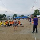 운봉초등학교 이미지