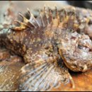 한산식당 이미지