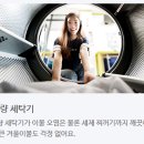 진리세탁 이미지