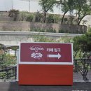 새로 생긴 남양주수동카페 추천! 애견동반 가능한 레드브릭카페 후기