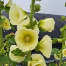 부건농장 이미지