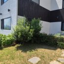 양평시대공인중개사사무소 이미지