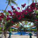 터틀짐(Turtle Gym) | 가성비 좋은 길리a 길리에어숙소 Turtle beach hotel 터틀비치 호텔