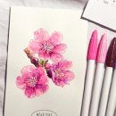 플러스펜 수채화로 그리는 일상스케치 이미지