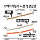영인약품 이미지