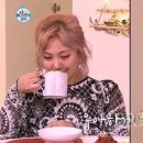 오렌지복사