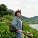 고흥의 하루 이미지