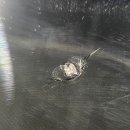 모터엑스 하남본점 이미지