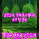 꽃과생활 이미지