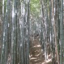 덕산1교 이미지