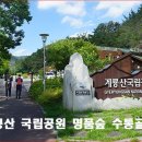 10월24일(토) 계룡산 국립공원 명품숲 수통골과 갑사마루/마감 이미지
