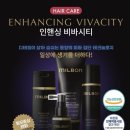 비바시티 VIVACITY 네이버블로그