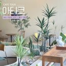 아티크 | 분당 운중동 카페 아티크 제주당근사과착즙쥬스 후기