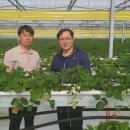 김성광 농장 이미지