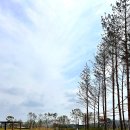 복하천 수변1공원 이미지