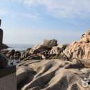 신똘똘이횟집