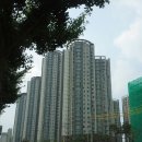 신성대림공인중개사사무소 이미지